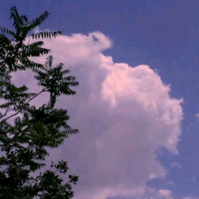 利发app手机登陆