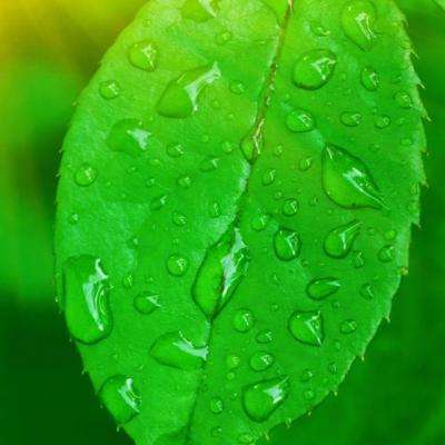 best365网页版登录